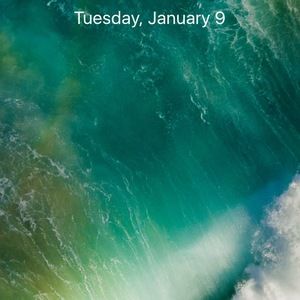 Meet your Posher, Biola